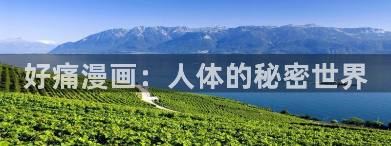皮皮喵漫画正版下载苹果